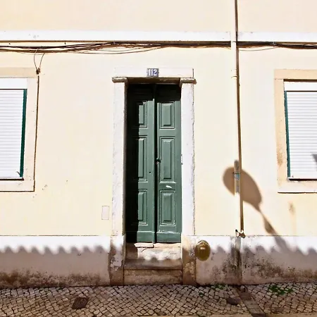 Akicity Santos Lime 리스본